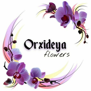 Логотип канала orxideya_flowers_namangan