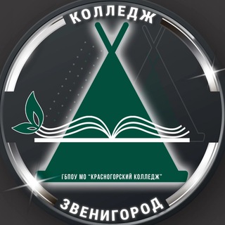 Логотип канала kk_zvenigorod_professionalitet