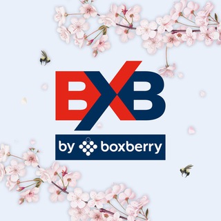 Логотип канала boxberryinternational