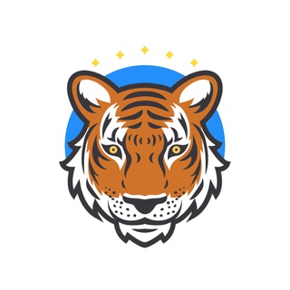 Логотип skytiger_io