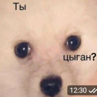 Логотип канала roflik2