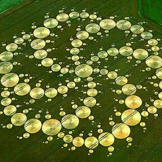 Логотип cropcirclesuk