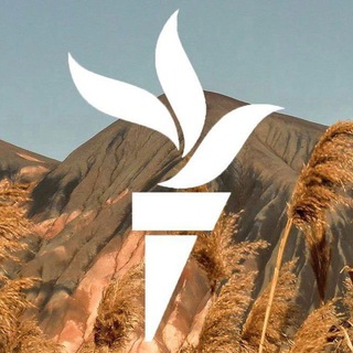 Логотип канала donbassrealii