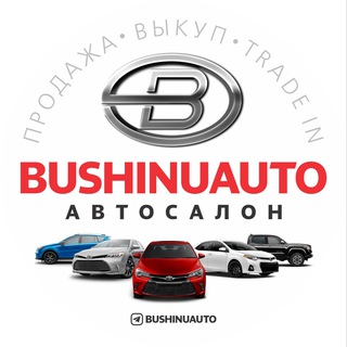 Логотип канала BUSHINUAUTOSALON