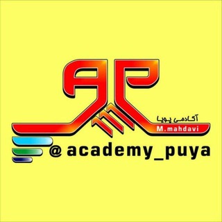 Логотип academy_puya