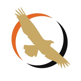 Логотип канала libertarian_party