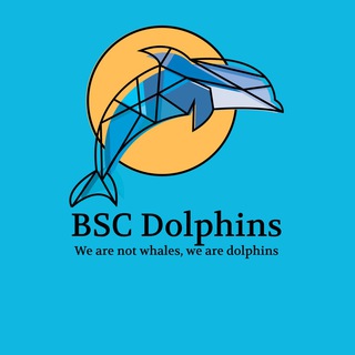 Логотип канала binancesmartchaindolphins