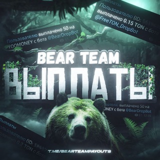 Логотип канала bearteampayouts