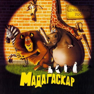 Логотип канала madagaskar8