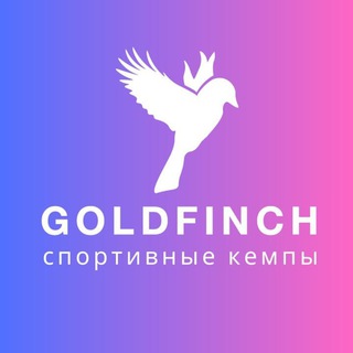 Логотип канала goldfinchcamp