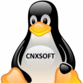 Логотип cnxsoftwareru