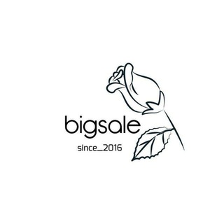 Логотип канала bigsale18