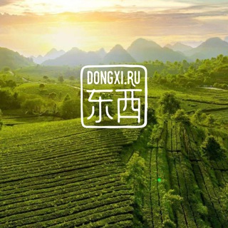 Логотип канала dongxiru