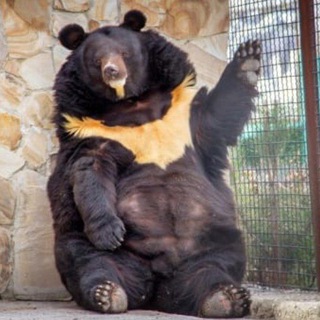 Логотип канала abuz_i_temki