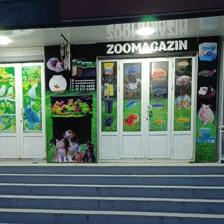 Логотип канала zoomagazinnamangan