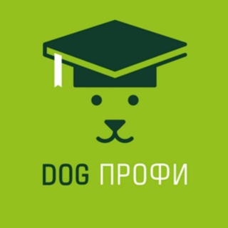 Логотип канала dog_profi