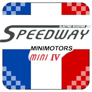 Логотип minimotors_speedway_mini4