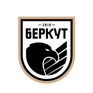 Логотип канала fcberkutufa