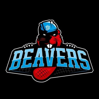 Логотип канала mfkbeavers