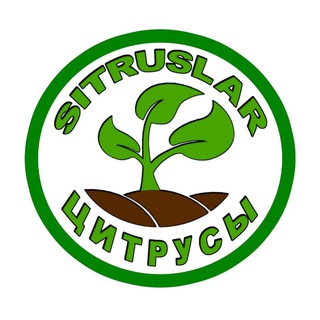 Логотип канала sitruslar
