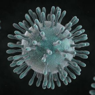 Логотип канала phcoronavirus