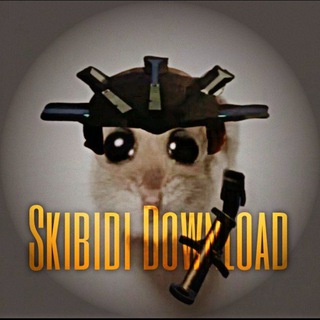 Логотип канала SkibidiDownload