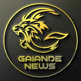 Логотип канала gaiande_news