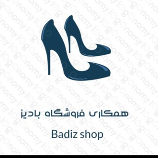 Логотип канала online_shop_badiz2