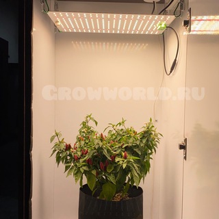 Логотип канала growworld_official