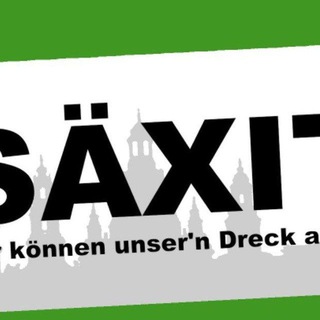 Логотип saexit