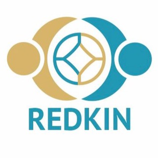 Логотип канала redkin_school