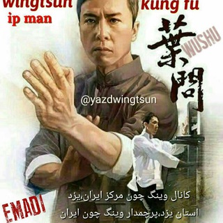 Логотип yazdwingtsun