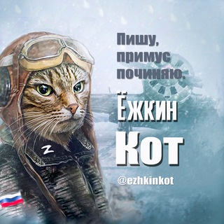 Логотип ezhkinkot