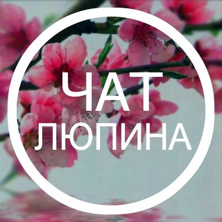 Логотип канала lupinchat