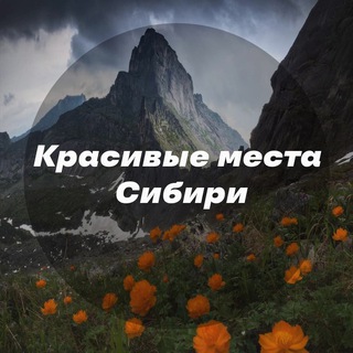 Логотип канала viewsiberia