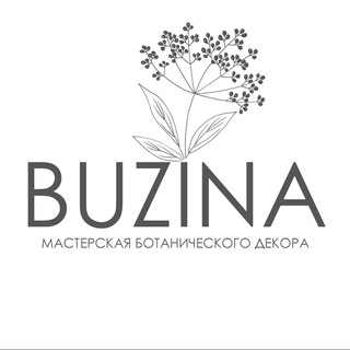 Логотип канала master_buzina