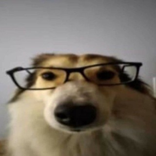 Логотип канала g_wothy_comentarii