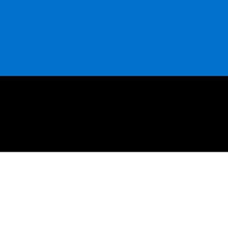 Логотип канала estonian_news_rus