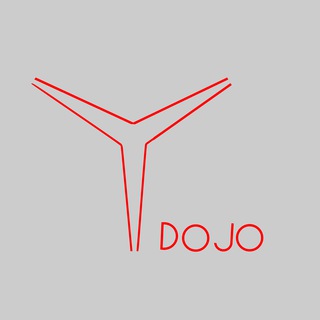 Логотип канала y_dojo