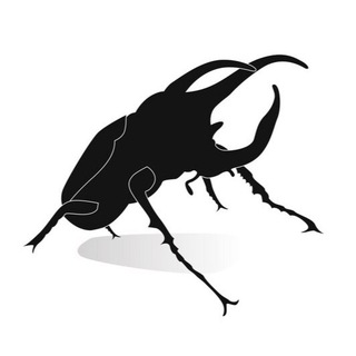 Логотип канала beetles_of_the_world