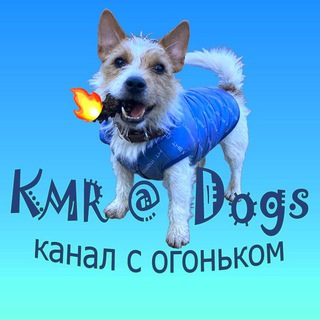 Логотип канала kmrdogsvideo