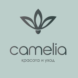 Логотип канала camelia_tmn