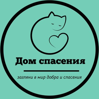 Логотип канала domspaseniya