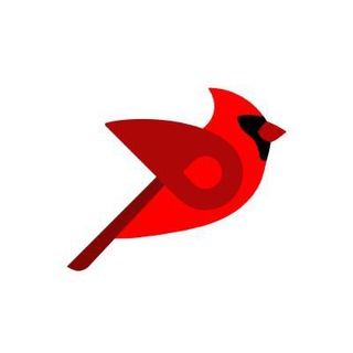 Логотип канала birdannouncement