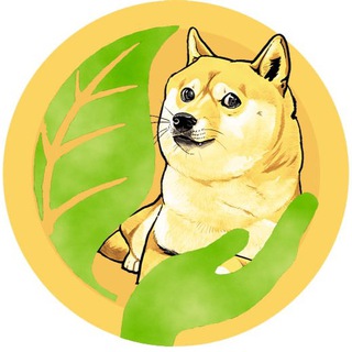 Логотип канала safe_doge_coin