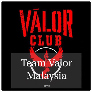 Логотип канала teamvalormalaysia