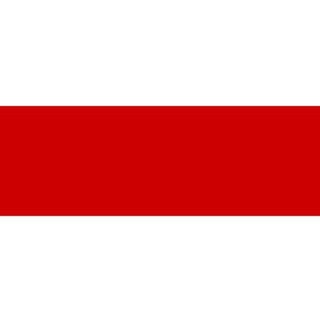 Логотип канала belarus_news_onlinerby