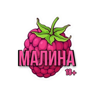 Логотип канала malina_plus