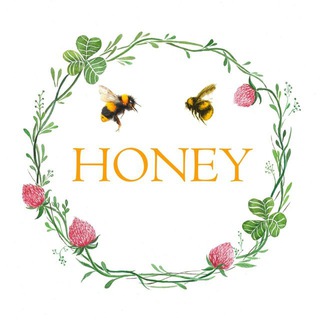 Логотип канала honey_flowers_uz