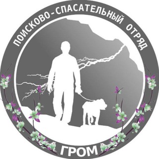 Логотип канала grom_poisk